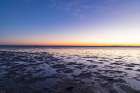Provence-Alpes-Cote dAzur-France Sunrise on the marshlands of the Camargue Art Print